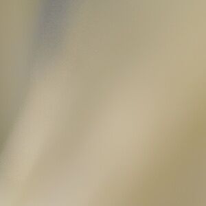 Meet your Posher, Mushroom